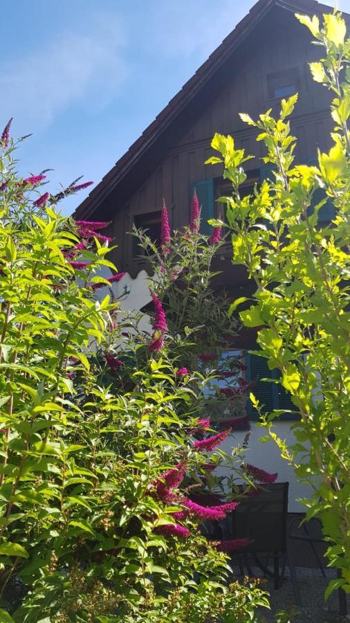 Chill&Sleep Bad Ischl Apartment Ngoại thất bức ảnh