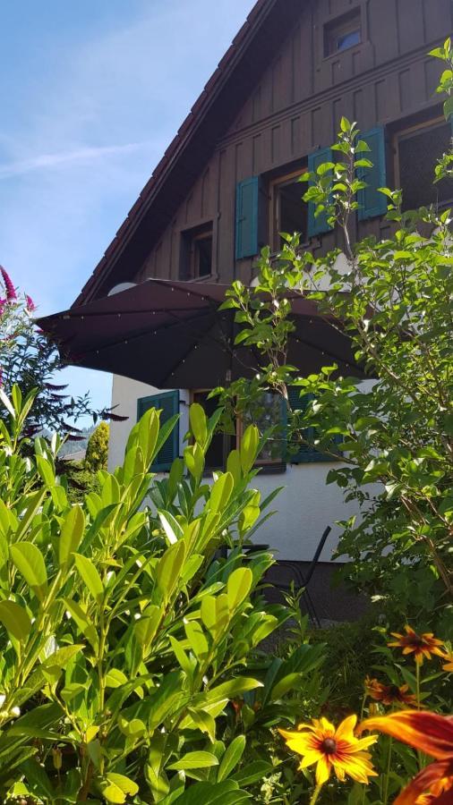 Chill&Sleep Bad Ischl Apartment Ngoại thất bức ảnh