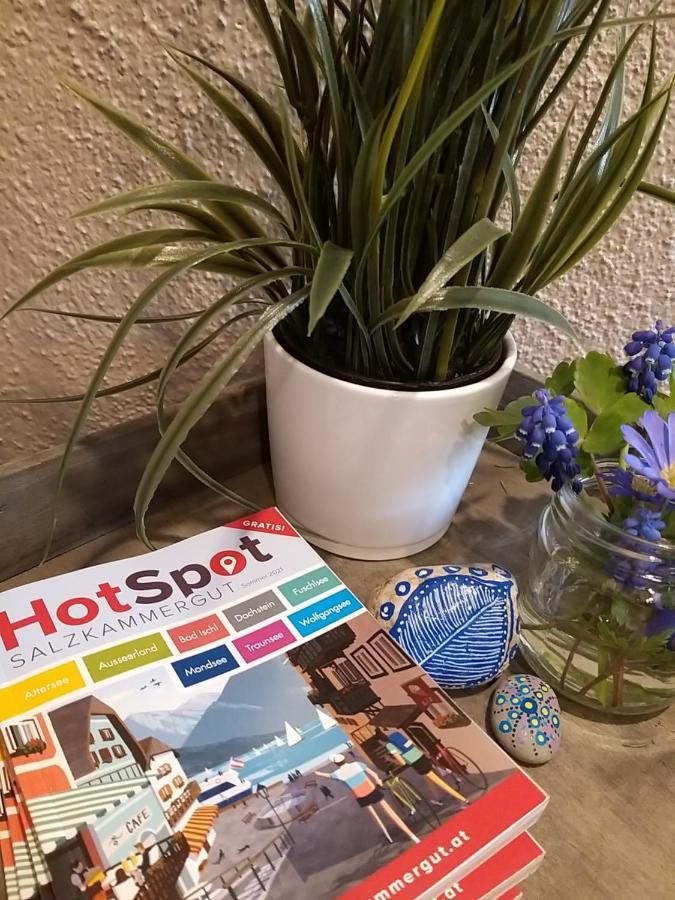 Chill&Sleep Bad Ischl Apartment Ngoại thất bức ảnh