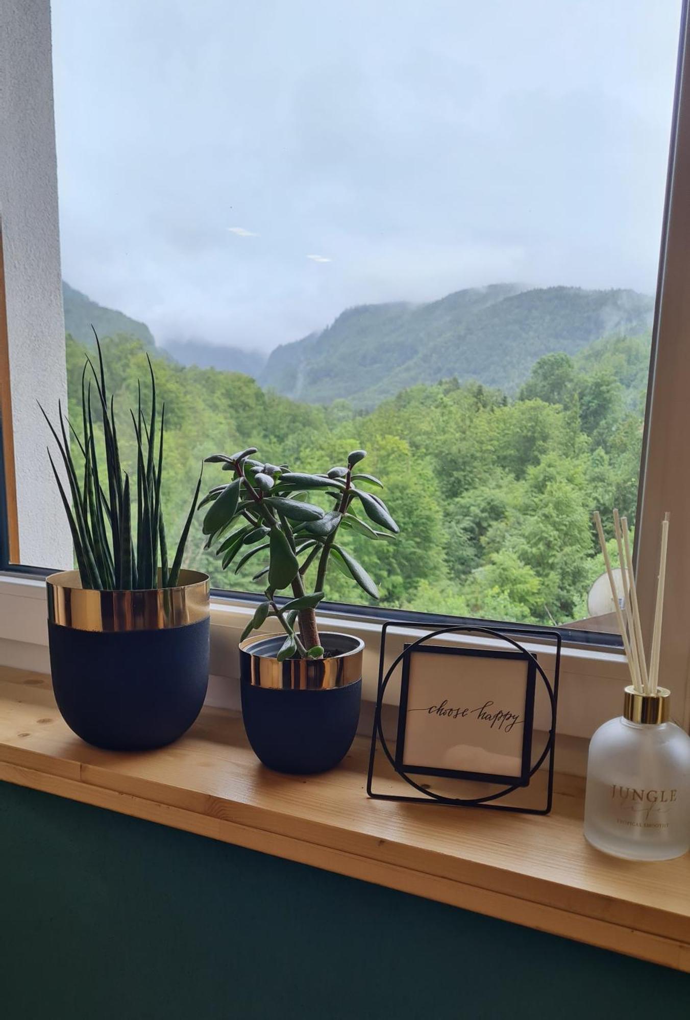 Chill&Sleep Bad Ischl Apartment Ngoại thất bức ảnh